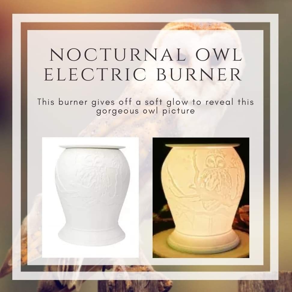 beautiful nocturnal owl design that will be a perfect gift for any bird lover

#homefragrance #scent #shopsmall #waxaddict #home #waxlover #soywax #waxmelts #candle #handmade #vegan #homedecor #scentedwax #supportsmallbusiness #waxtarts

Bathtimepampering.pamperboutique.co.uk