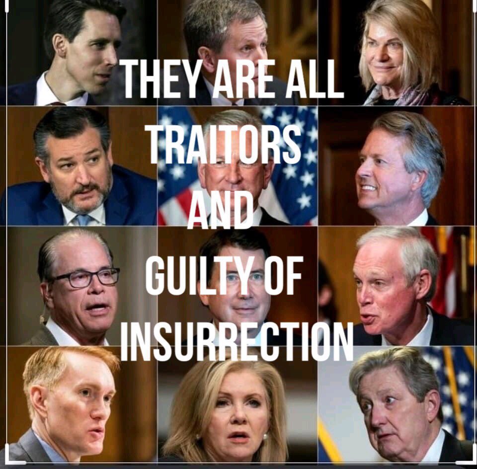 ZemanLynnZ's tweet photo. @ProjectLincoln #RemoveTheTraitors #RemoveTedCruz #RemoveJoshHawley #RemoveKevinMcCarthy https://t.co/LxItbJisA1