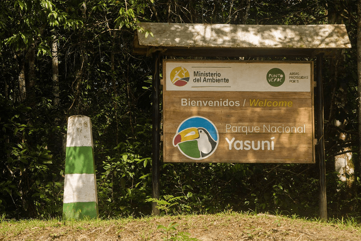 ZENITHTRAVEL1's tweet photo. #GreatNews 🍃🍃🍃💙 l Yasuní National Park reopens to tourism after 10 months without activities 🇪🇨.

✅ Last January 22, 2021, Yasuní National Park was reopened to tourism 📷 after 10 months of closure.
.
.
.
#ZenithTravel #ZenithEcuador #AllYouNeedIsEcuador #AmazonRainforest https://t.co/utk08Fomh4