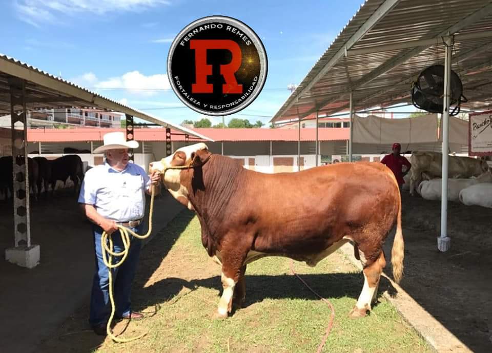 PRCiudadyVida's tweet photo. Hoy tocó trabajar en el rancho.  Aquí les dejo el enlace de nuestra página de Facebook.  Que tengan un maravilloso día https://t.co/RxO3ddQ0wb https://t.co/5GPJHPNJla