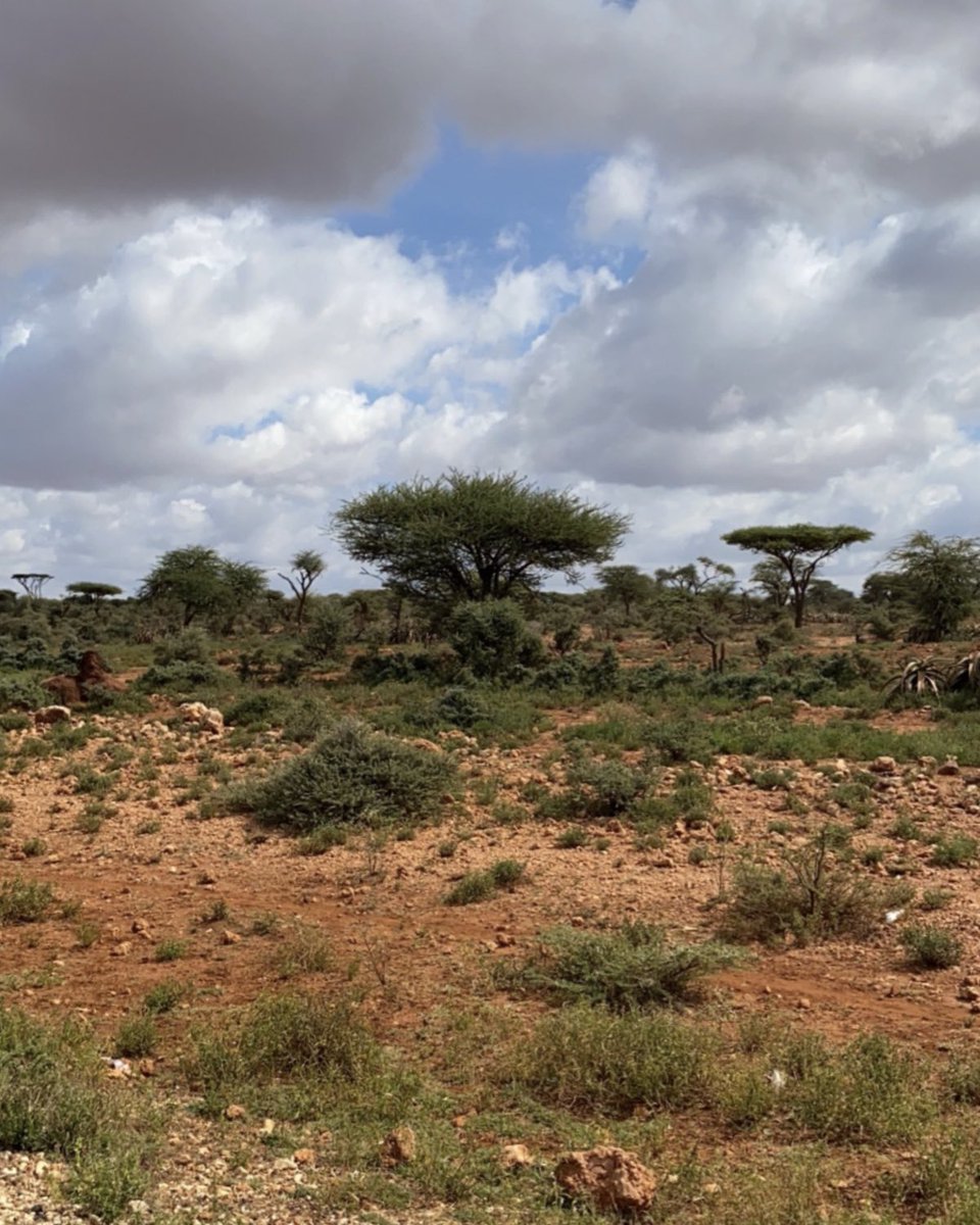 NadirxBashir's tweet photo. Jijiga, Somali Region/Ogaden 🇸🇴 https://t.co/bVpeOqhLlG