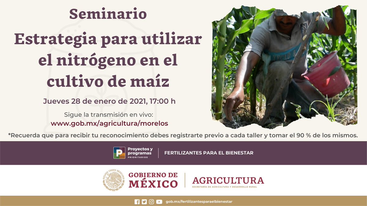 Representación Morelos tweet media