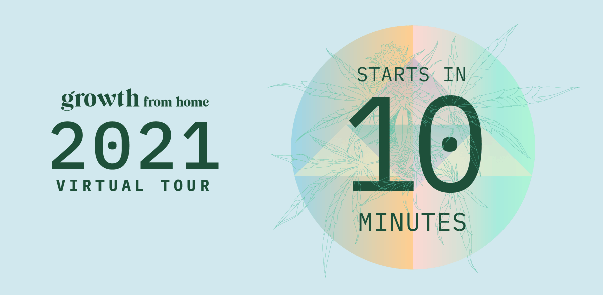 growthevent's tweet photo. The first Growth from Home Virtual Tour Session is about to start!

Register for free at https://t.co/lqEbnKx3ar

#Growth #GrowthFromHome #VirtualTour #Cannabis https://t.co/q8RylEQeby