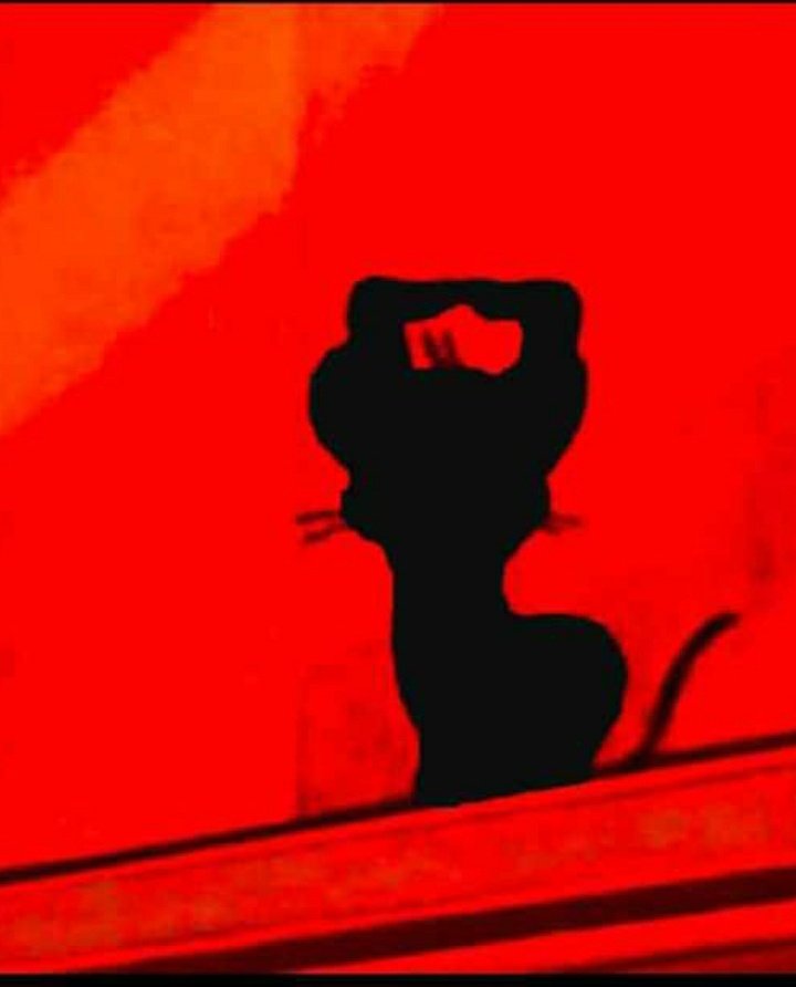 Tries to remember a concept I studied before going to an exam room:

My brain: Put your head on my shoooooooo🎵🎵
#silhouettechallenge