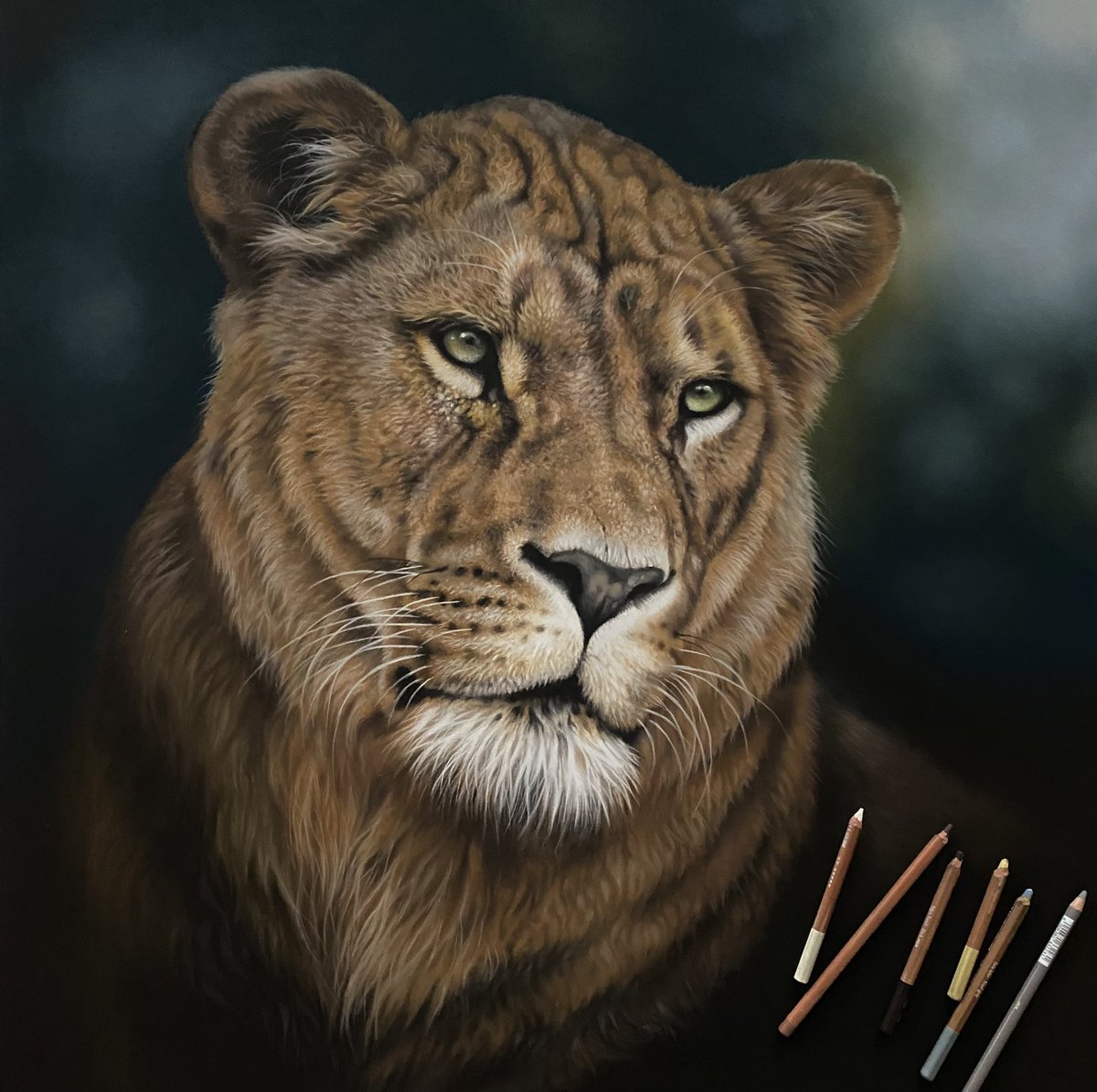 wildlife_art's tweet photo. Pastel drawing! Nearing completion....just a bit of finishing off is needed and final details....hope you like her
#artwork #pasteldraw #pastelart #lionesses #bigcat #drawing #ArtistOnTwitter #pencildrawing #pencilart https://t.co/sN3sQYLuOR