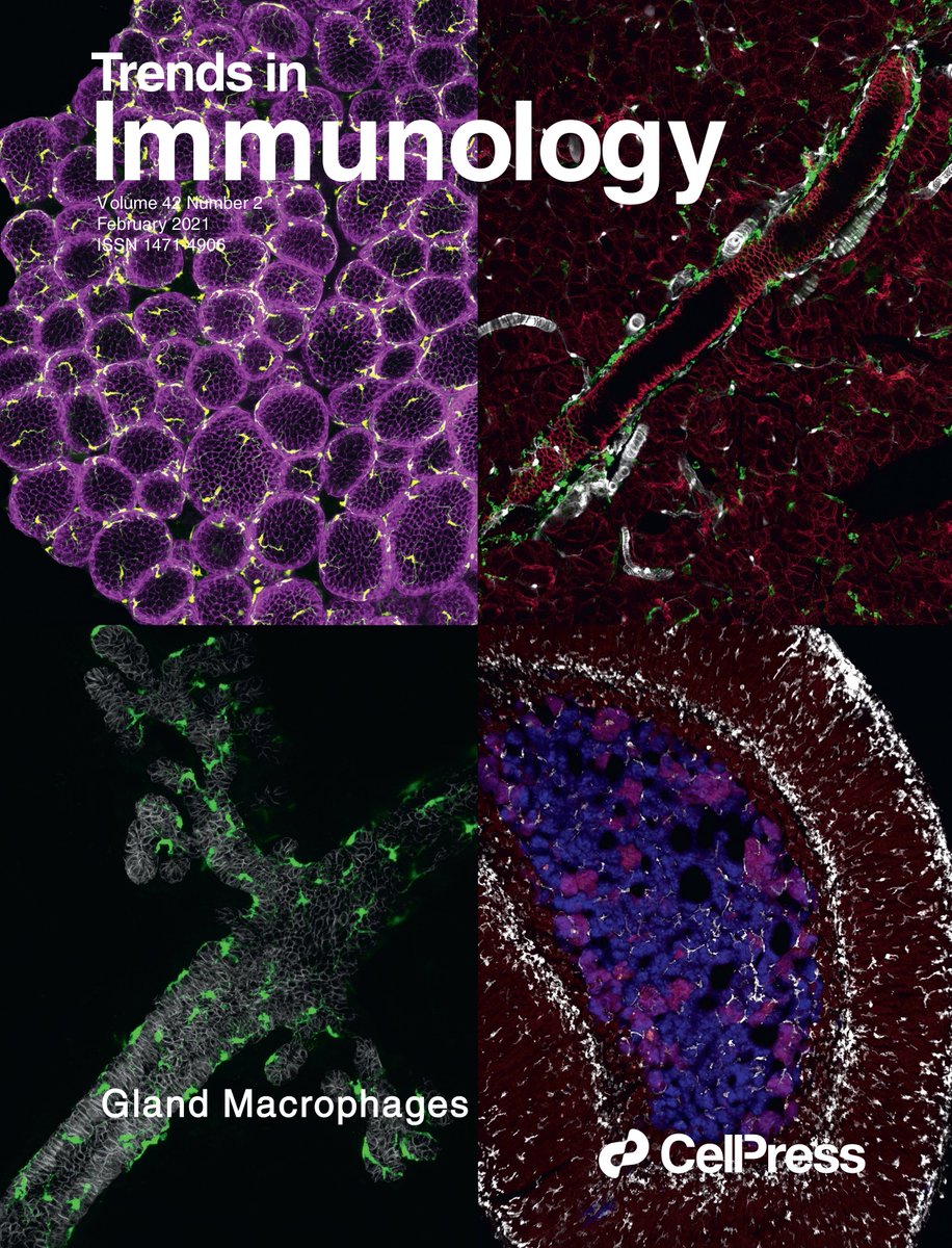 Trends in Immunology (@trendsimmuno) on Twitter photo Read the February issue <a href="/TrendsImmuno/">Trends in Immunology</a>: #COVID19 & #complement & #vaccines, #monocytes in #homeostasis & #malignancy, #gland #macrophages, #immunoregulation & #gut #commensal #translocation, early #type2immunity, #Tcelldevelopment & #scRNAseq, & more!! cell.com/trends/immunol… Read the February issue <a href="/TrendsImmuno/">Trends in Immunology</a>: #COVID19 & #complement & #vaccines, #monocytes in #homeostasis & #malignancy, #gland #macrophages, #immunoregulation & #gut #commensal #translocation, early #type2immunity, #Tcelldevelopment & #scRNAseq, & more!! cell.com/trends/immunol…