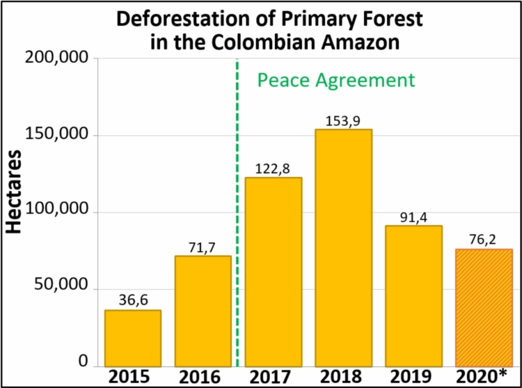 En un boletín anterior, MAAP estima la deforestación de 76.200 hectáreas de bosque primario hasta junio de 2020."Hemos documentado la deforestación de 444.000 hectáreas de bosque primario en la  #Amazonia colombiana en los últimos cuatro años desde el Acuerdo de paz", se lee.
