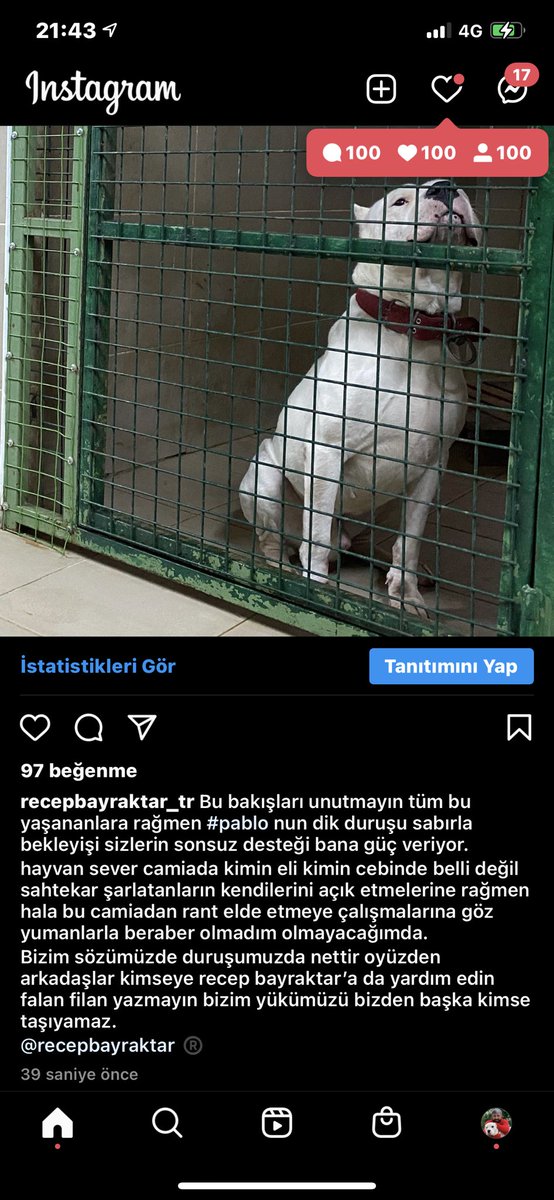 Pablonun dik duruşu kıvraaklara gelsin  #pablo