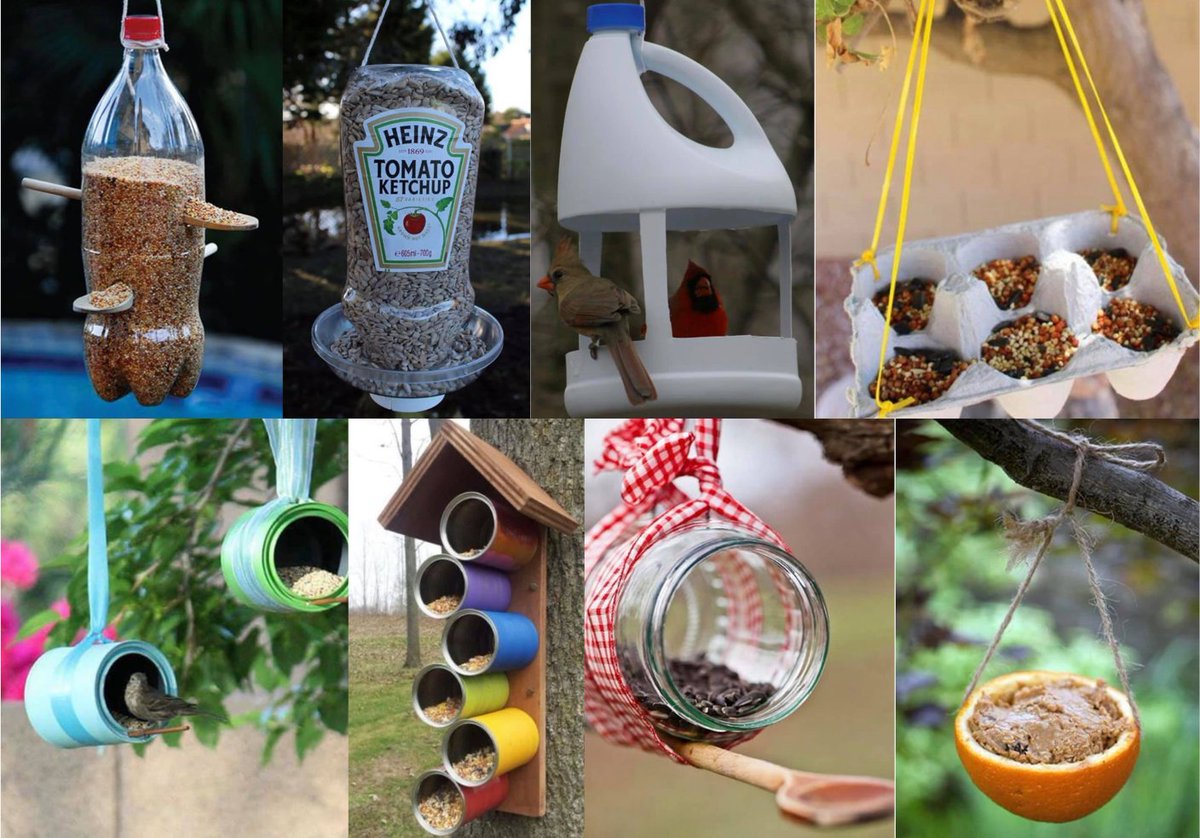 Havelock Humanities tweet media