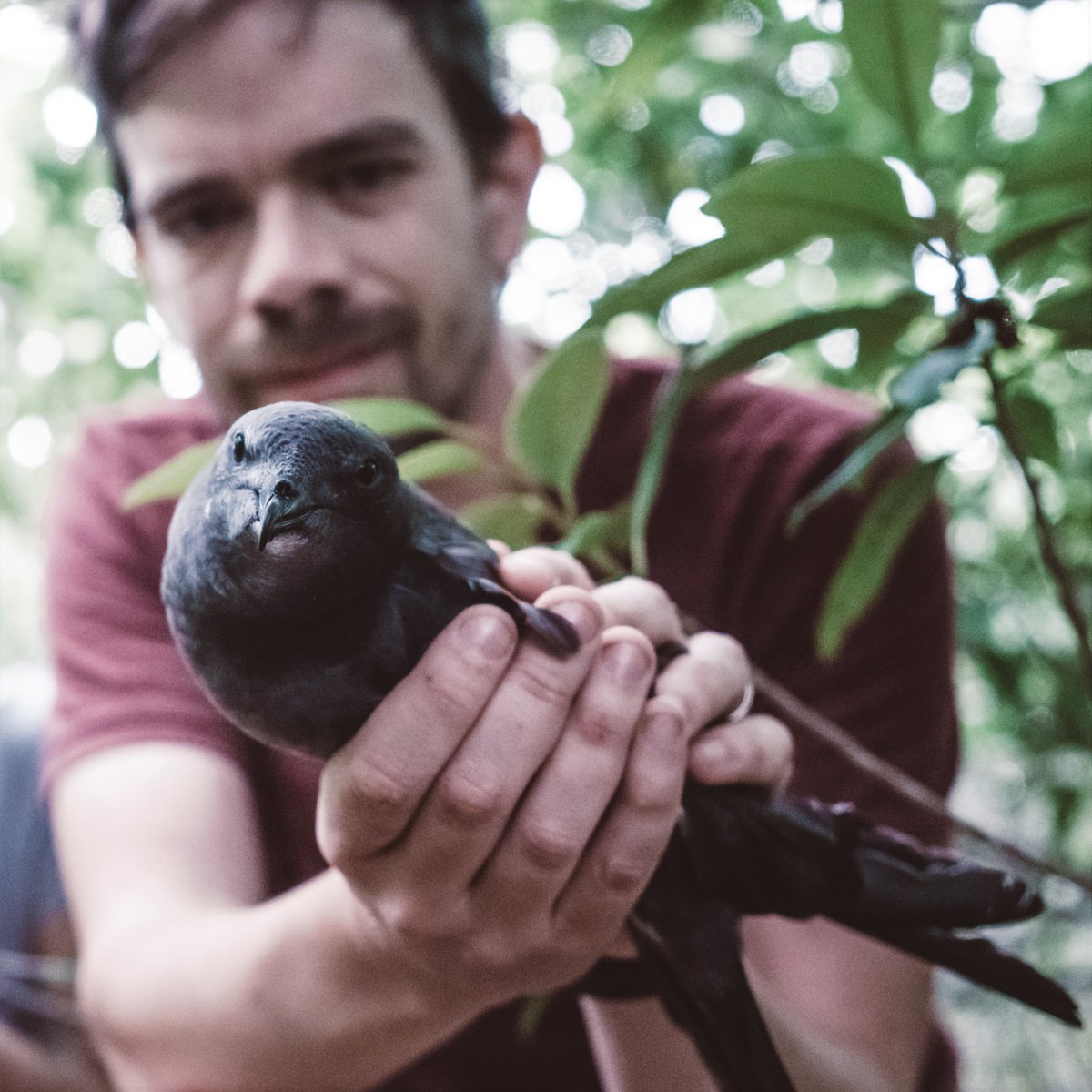 ScientificQUEERies (@sci_queeries) on Twitter photo A new week, a new fantastic speaker representing our wonderful #QueerinSTEM community. We are so excited to welcome @TheLabAndField from <a href="/NHM_London/">Natural History Museum</a> next Tuesday, Feb 2, 1pm MST to present on the "Hidden Diversity in Science: Queer in STEM". (1/2) A new week, a new fantastic speaker representing our wonderful #QueerinSTEM community. We are so excited to welcome @TheLabAndField from <a href="/NHM_London/">Natural History Museum</a> next Tuesday, Feb 2, 1pm MST to present on the "Hidden Diversity in Science: Queer in STEM". (1/2)