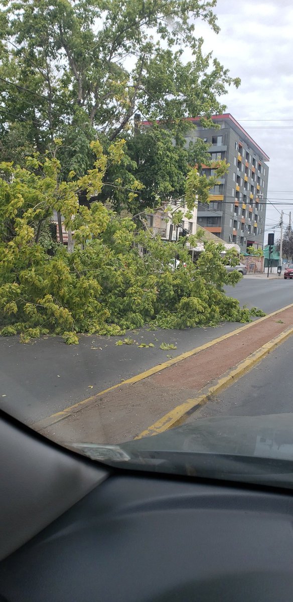 Patricio Martinez T tweet media