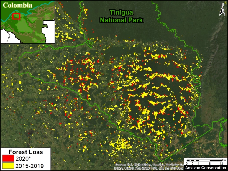 Si seguimos escarbando aparecen estas dos imágenes satelitales. En la primera "se ilustra la extensa deforestación" dentro del PNN  #Tinigua en los últimos cinco años. La segunda es en el resguardo indígena Llanos del Yari-Yaguara II entre enero (izq) y abril (derecha) de 2020.