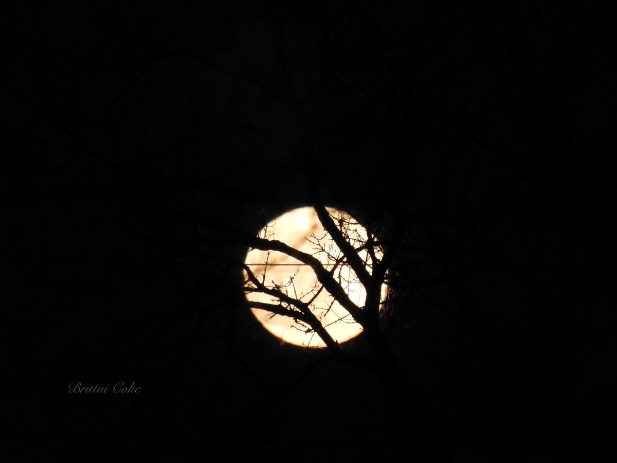 Tonight’s Wolf Moon #WolfMoon #WolfMoon2021 @weathernetwork @StormHour #ThePhotoHour #silhouettechallange #nightphotography #moonphotography #photography @TheWeatherCH