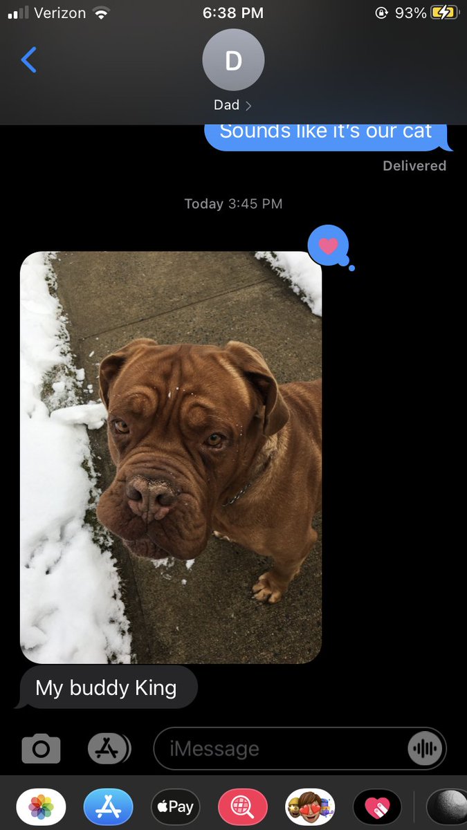 aud___rey's tweet photo. the world is a mess but my dad works for FedEx and sends me pictures of all his dog friends from his route🥺 https://t.co/YmKpgUWJ4I