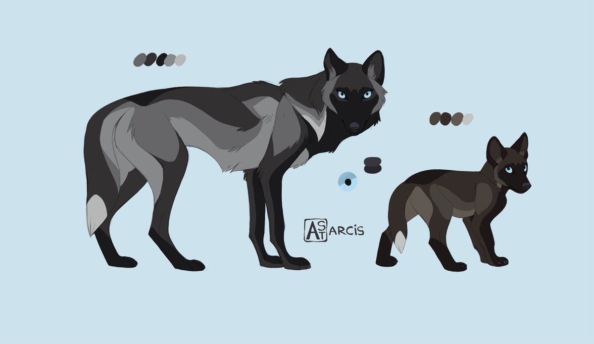 _Astarcis's tweet image. A pack of commissions for Paxerlie.
They asked me to make them a design, and I myself is in love with this  sophisticated she-wolf.