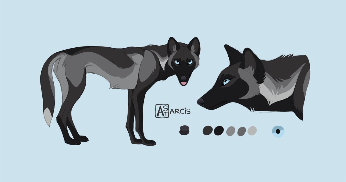 _Astarcis's tweet image. A pack of commissions for Paxerlie.
They asked me to make them a design, and I myself is in love with this  sophisticated she-wolf.