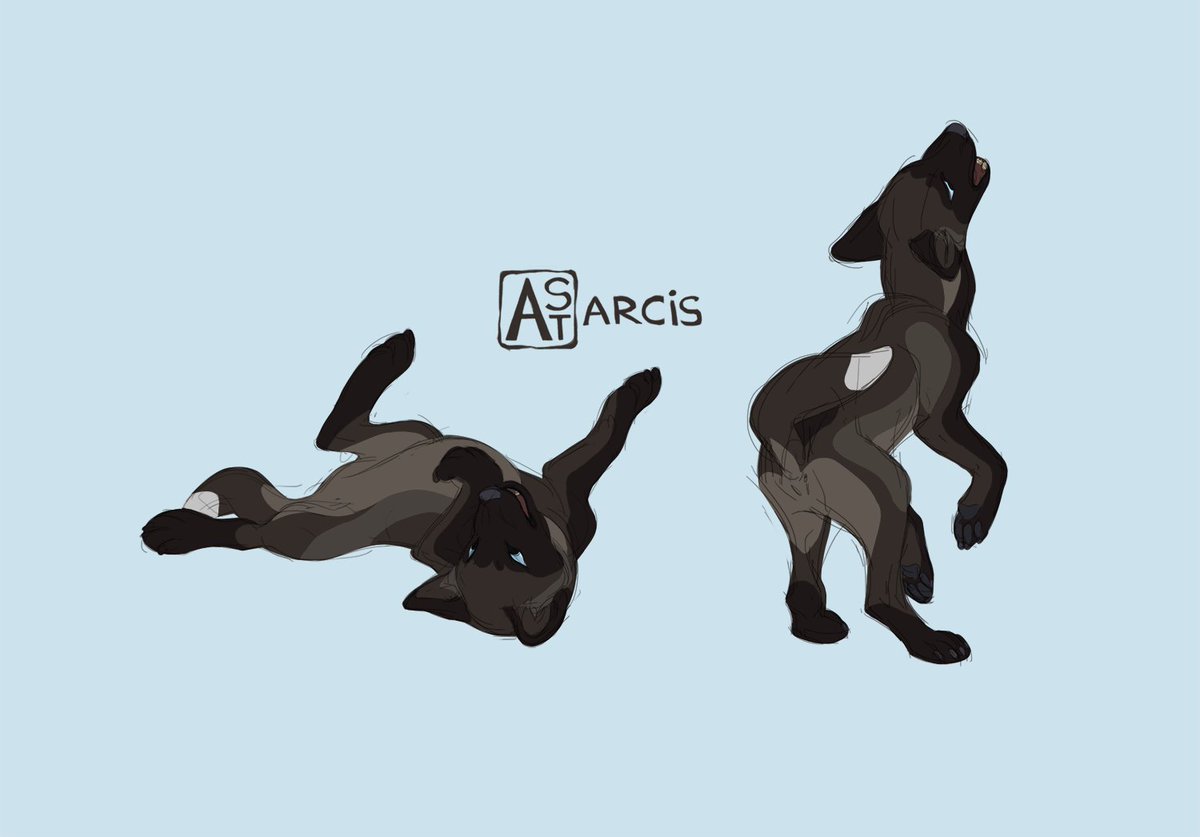 _Astarcis's tweet image. A pack of commissions for Paxerlie.
They asked me to make them a design, and I myself is in love with this  sophisticated she-wolf.