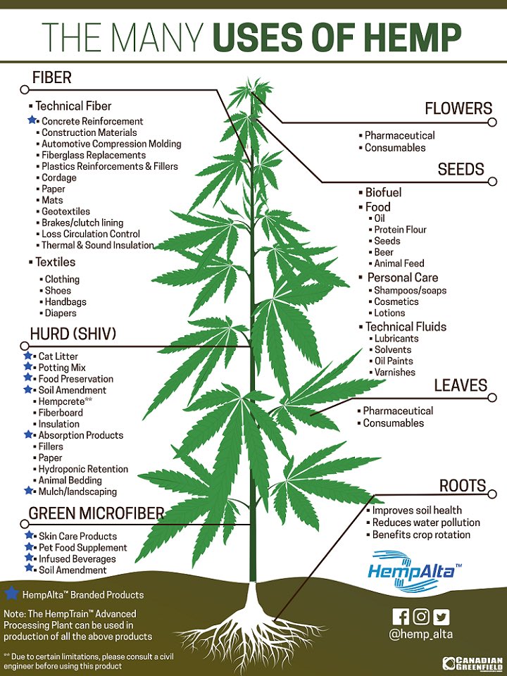 deborahskyrim's tweet photo. @ken_5646 @NYCComptroller Hemp #Sustainability #future #safe #environmental #Hemp #AlternativeInvestments #ecosystems #habitats #cleanresources #renewable https://t.co/pM0Q3hm3ZJ