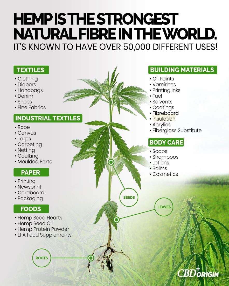 deborahskyrim's tweet photo. @ken_5646 @NYCComptroller Hemp #Sustainability #future #safe #environmental #Hemp #AlternativeInvestments #ecosystems #habitats #cleanresources #renewable https://t.co/pM0Q3hm3ZJ