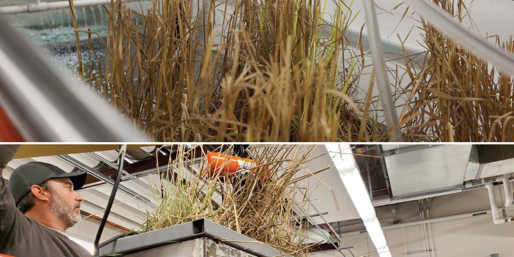 Agronomy, Crop, and Soil Science Societies tweet media