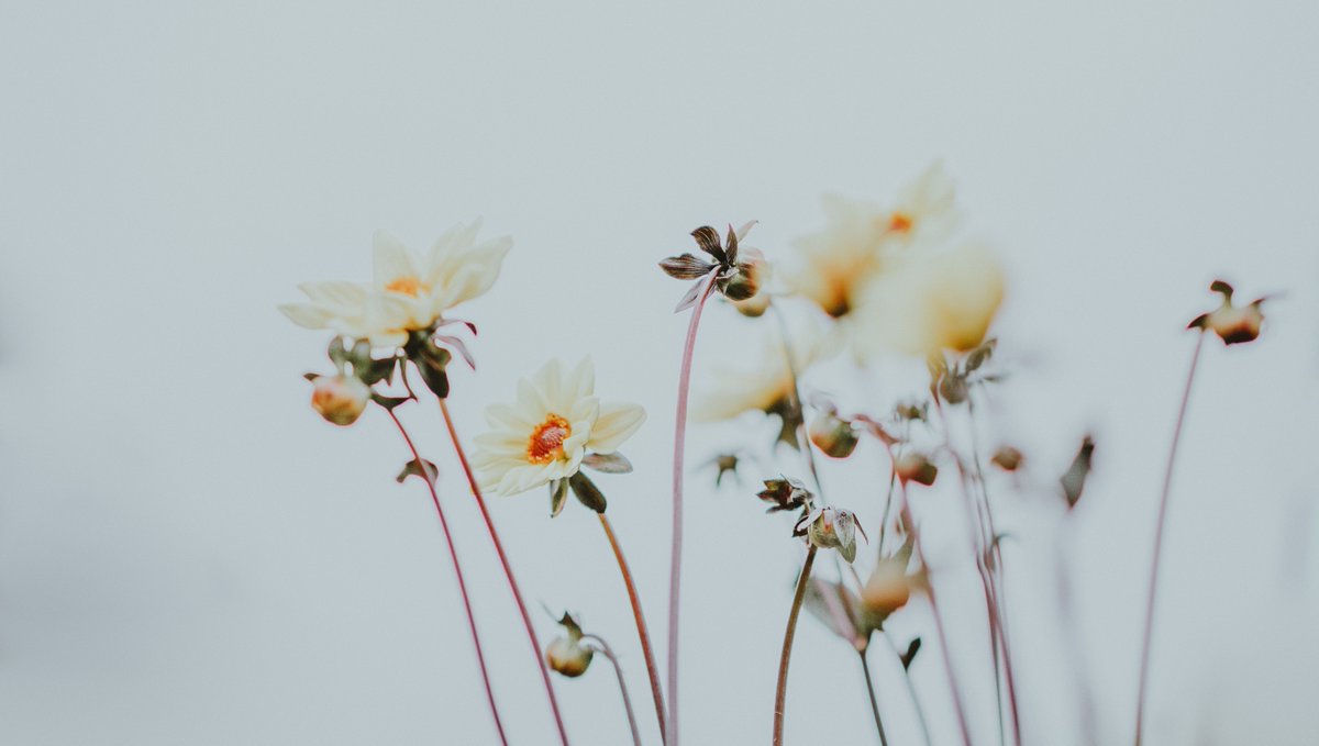 iliveeco's tweet image. ⁠Here are some simple ways to help those in need:⁠
⁠
✨ Language matters ⁠
✨ Educate yourself⁠
✨ Be kind ⁠
✨ Listen and ask⁠
✨ Talk about it⁠
⁠
⁣Mental health is important every day!! 

#BellLetsTalk #mentalhealthmatters #westandwithyou #mentalhealth