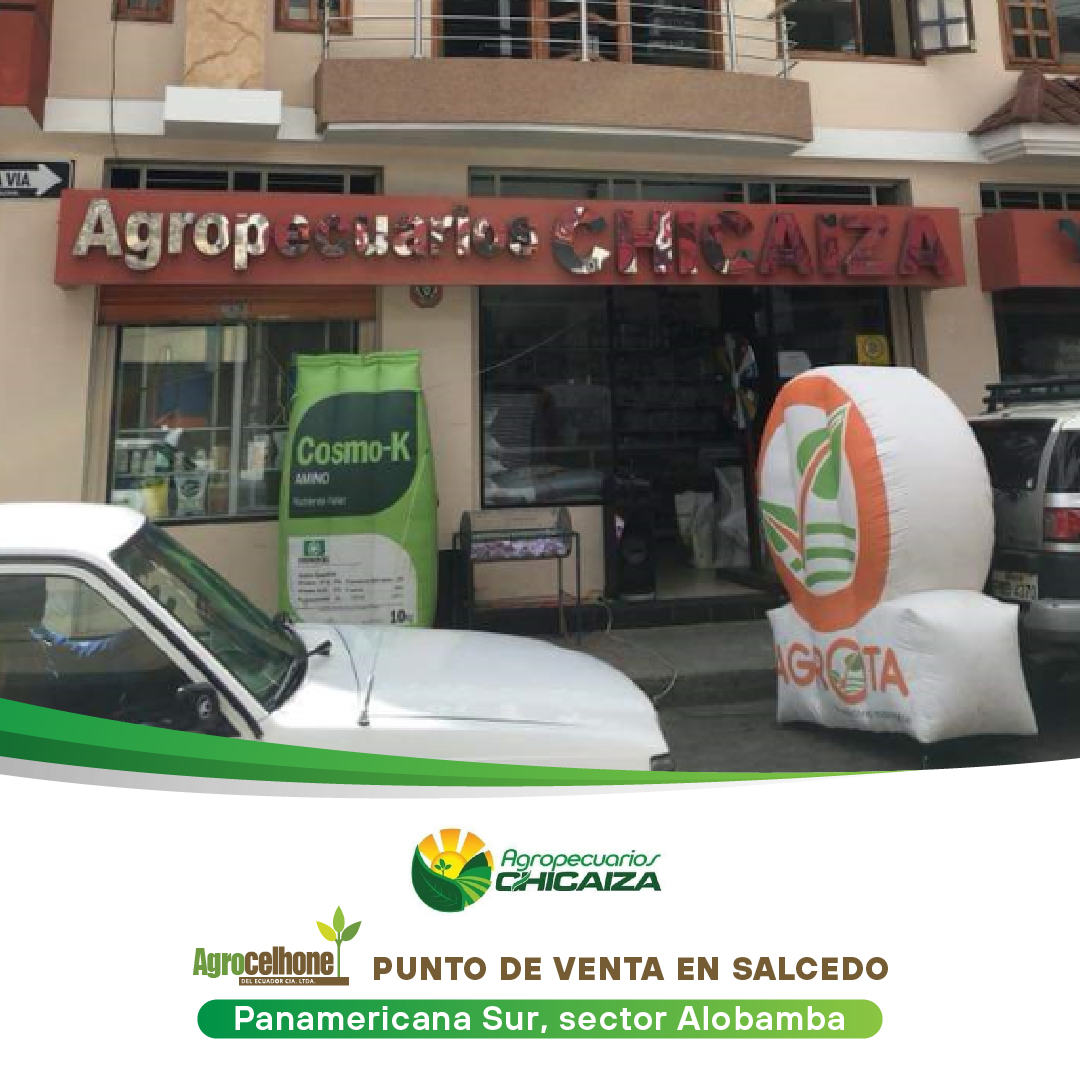 Puntos de Venta en #Ambato.🛒🇪🇨 Encuentra los más eficaces insumos agrícolas para nutrición y protección de tus cultivos en:

📍 Sector Pataló, parroquia Juan Benigno Vela
📞 0983196499 (Ing. Josafat Freire)

#AgrocelhonedelEcuadora