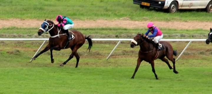 RSatombo's tweet photo. Living My Dream
@stridefree 
@zimracing
@borrowdale_park
 @FrankieDettori 
@AtTheRaces
@RacingTV 
@Racing https://t.co/6WhhXv3z01
