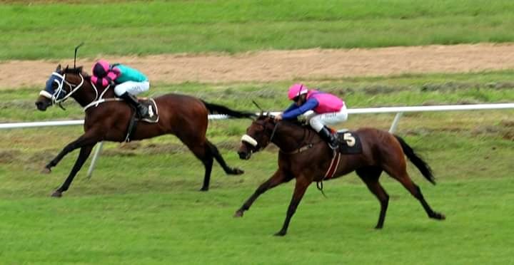 RSatombo's tweet photo. Living My Dream
@stridefree 
@zimracing
@borrowdale_park
 @FrankieDettori 
@AtTheRaces
@RacingTV 
@Racing https://t.co/6WhhXv3z01