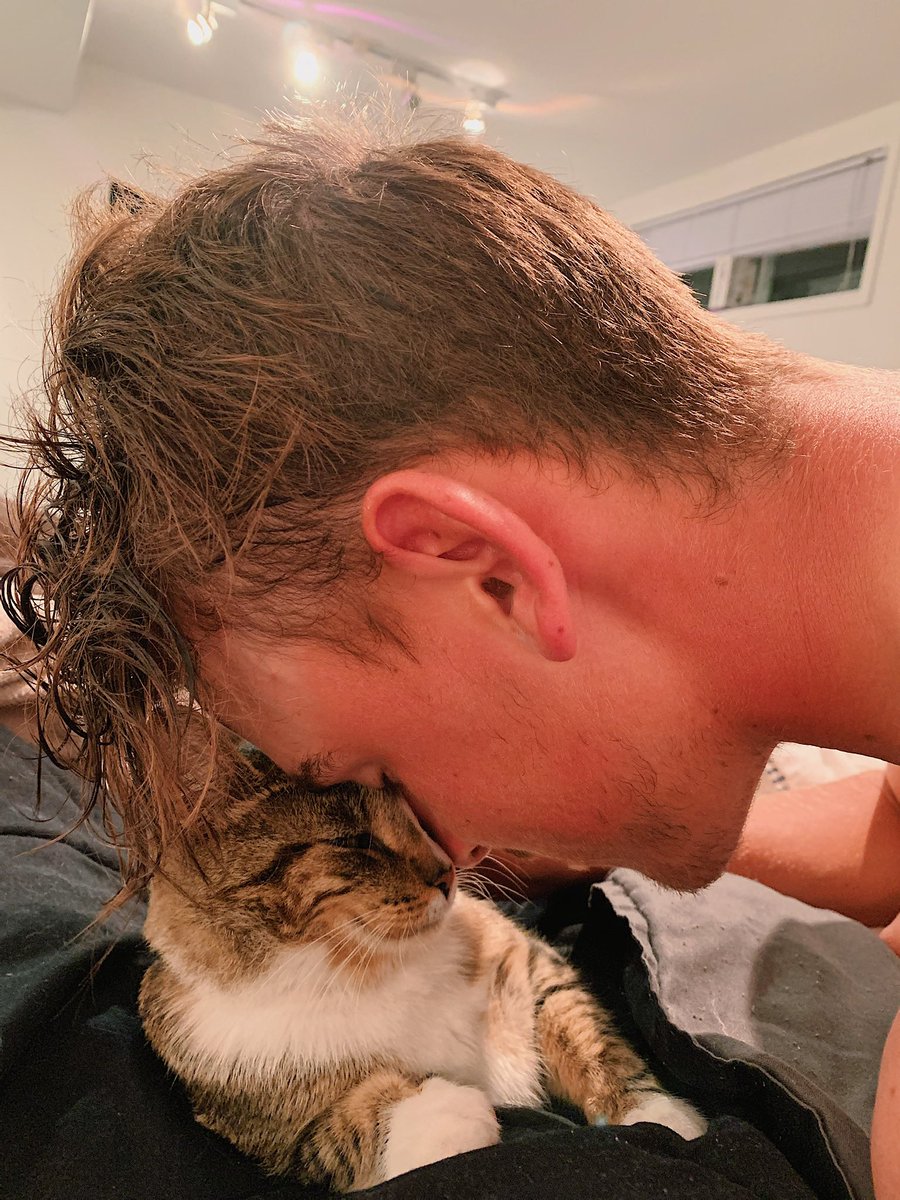 jessicalabelle_'s tweet photo. parce que même nos p'tites bestioles peuvent nous aider à passer à travers et combattre la solitude #BellLetsTalk https://t.co/WlgvhOPsOf