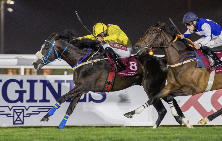 Arabian Racing Organisation tweet media