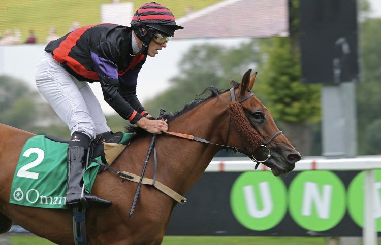 Arabian Racing Organisation tweet media