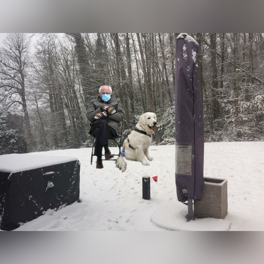 flaballve's tweet photo. Moi qui attend #Attal depuis une demie heure là #confinementSaison3 #berniesmittens https://t.co/esB3pSRlBi