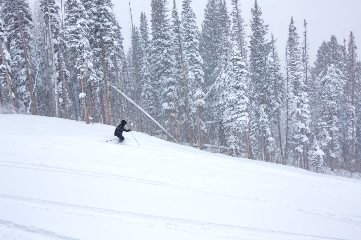 PCski's tweet photo. January is shaping up to be a snowy month! With additional snow in the forecast, more powder days are in our future. https://t.co/m2WwKVRVzq