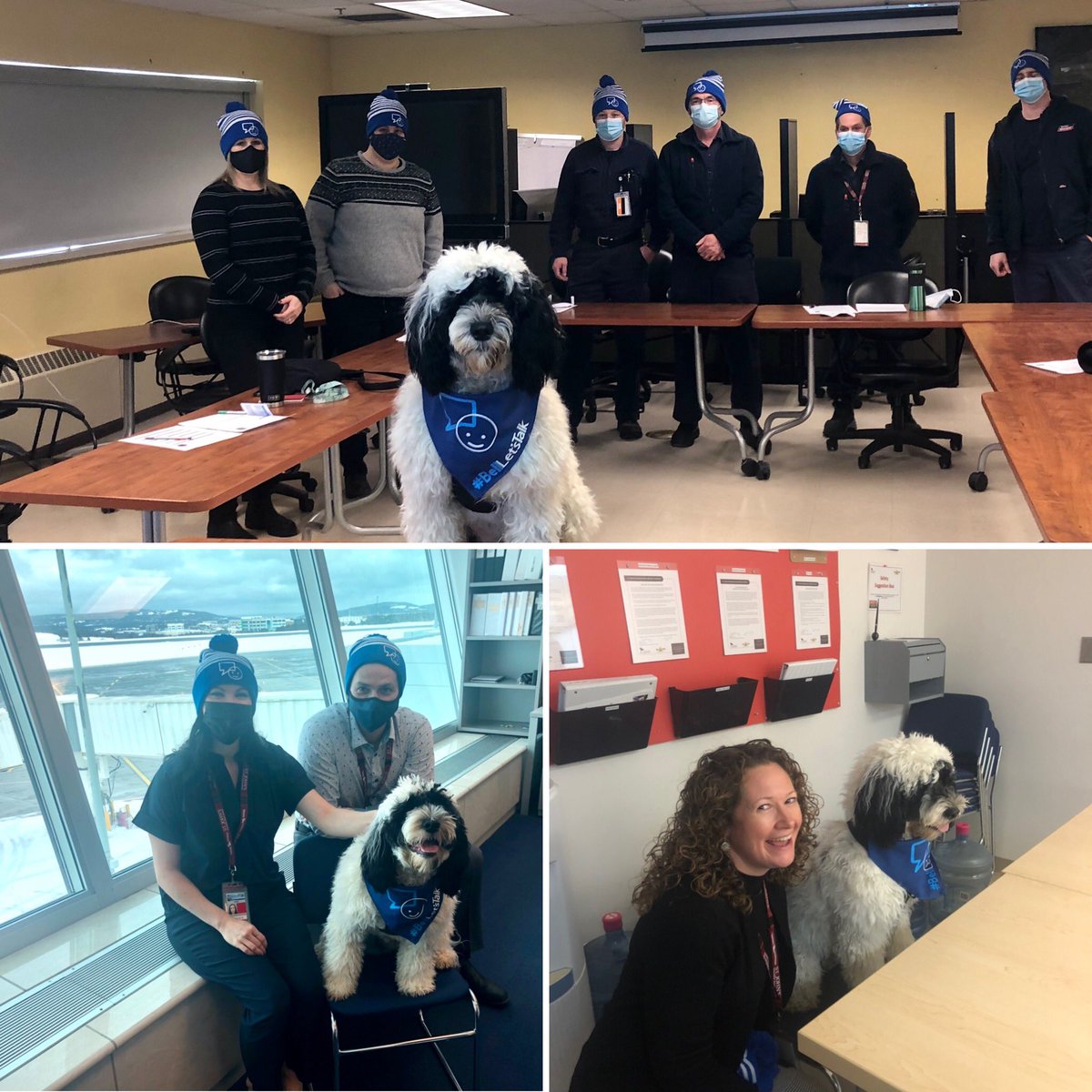 stjohnsairport's tweet image. We love visits from our furry friend @RNC_Stella. #supportdog #BellLetsTalk #mentalhealthmatters #jointheconversation