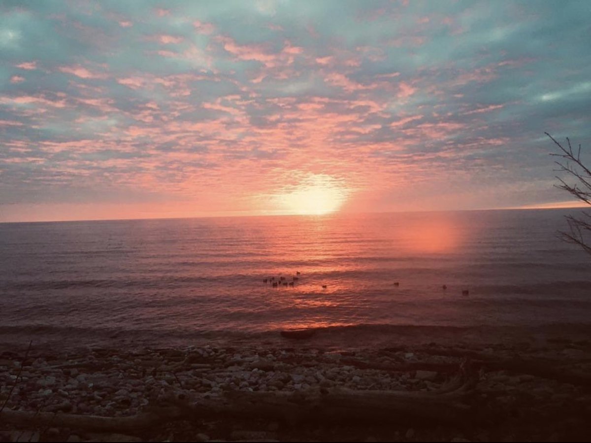 AndersonGoldOne's tweet image. A 6:30 am winter walk with @dandearing. 🌊❄️