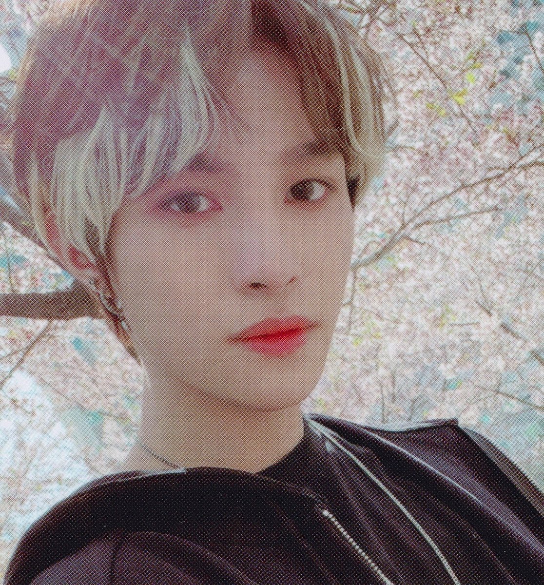 Yangyang and Pompompurin ㅡ A thread.