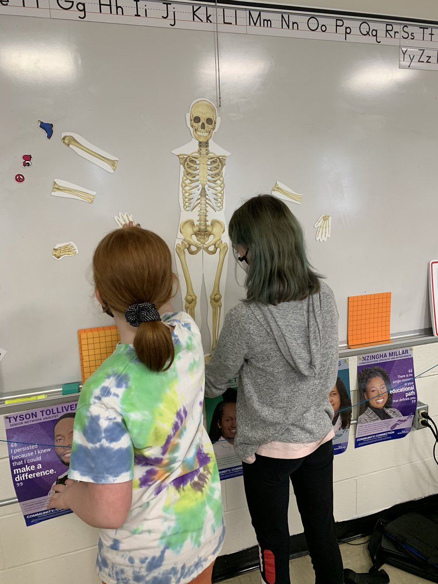 Ms_Lauther's tweet photo. Today we explored the skeletal system Some activities included a magnetic skeleton puzzle and analyzing x-rays. Lots of oohs and aahs and “look at that break!” https://t.co/8WUiXQuwK9