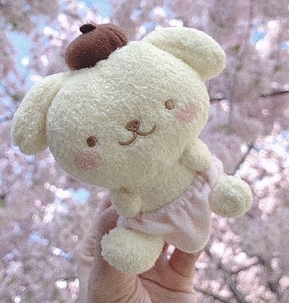 Yangyang and Pompompurin ㅡ A thread.