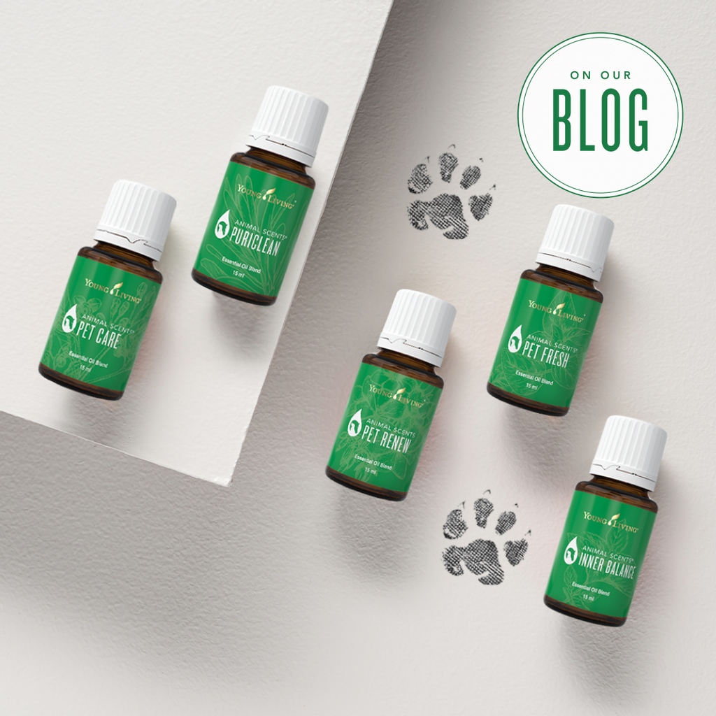 yleoeurope's tweet photo. Essential Oils for Pets – Why, When and How!

https://t.co/lyeNfQDGw4 https://t.co/XLpDRRqakU