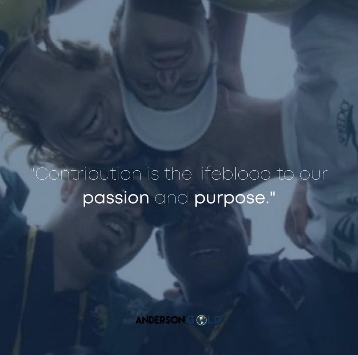 AndersonGoldOne's tweet image. What does contribution mean to you? #steveandersongold