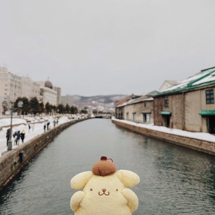 Yangyang and Pompompurin ㅡ A thread.