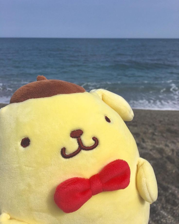 Yangyang and Pompompurin ㅡ A thread.