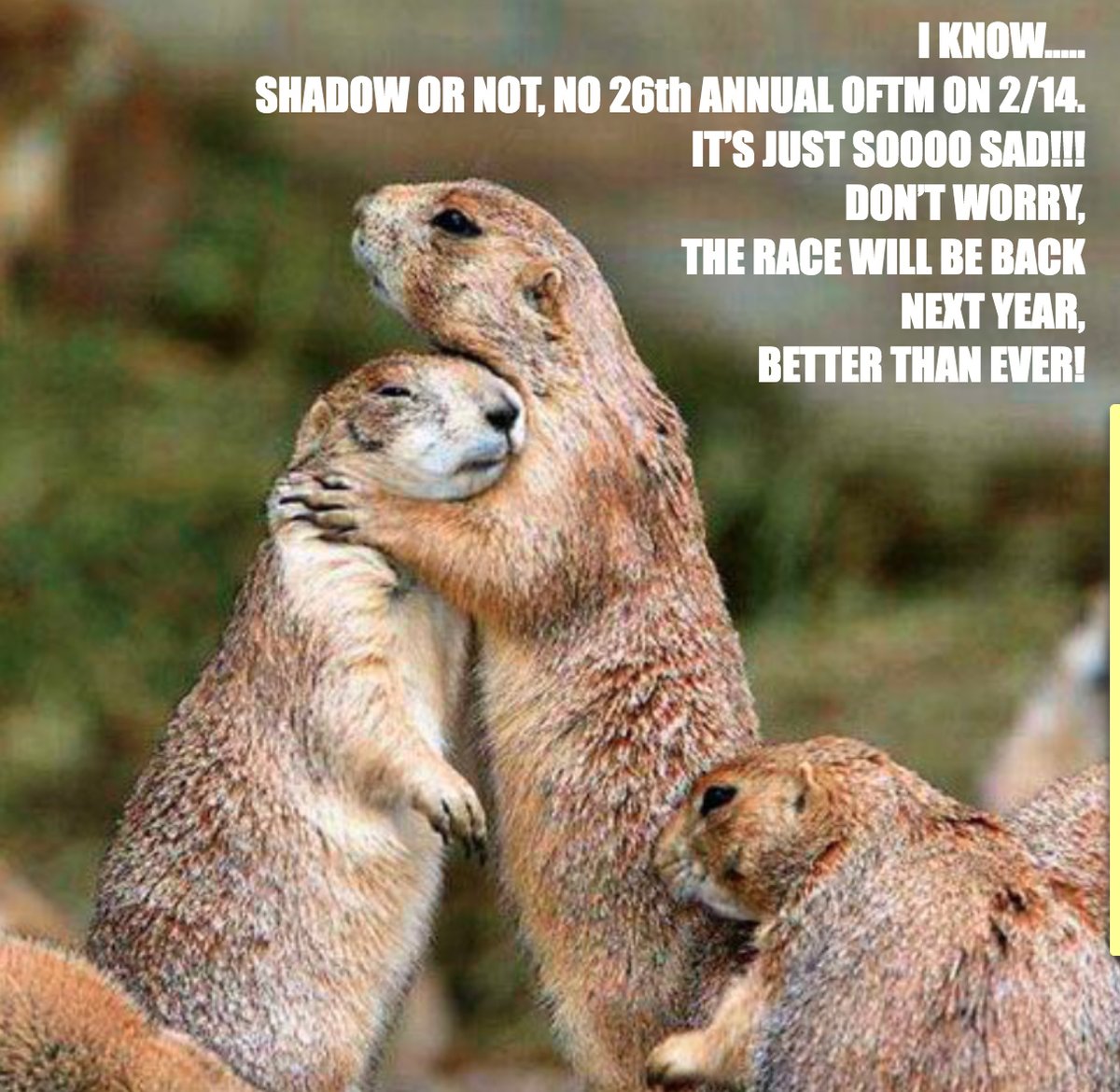 Old Fashioned 10-Miler (@oldfash10miler) on Twitter photo 