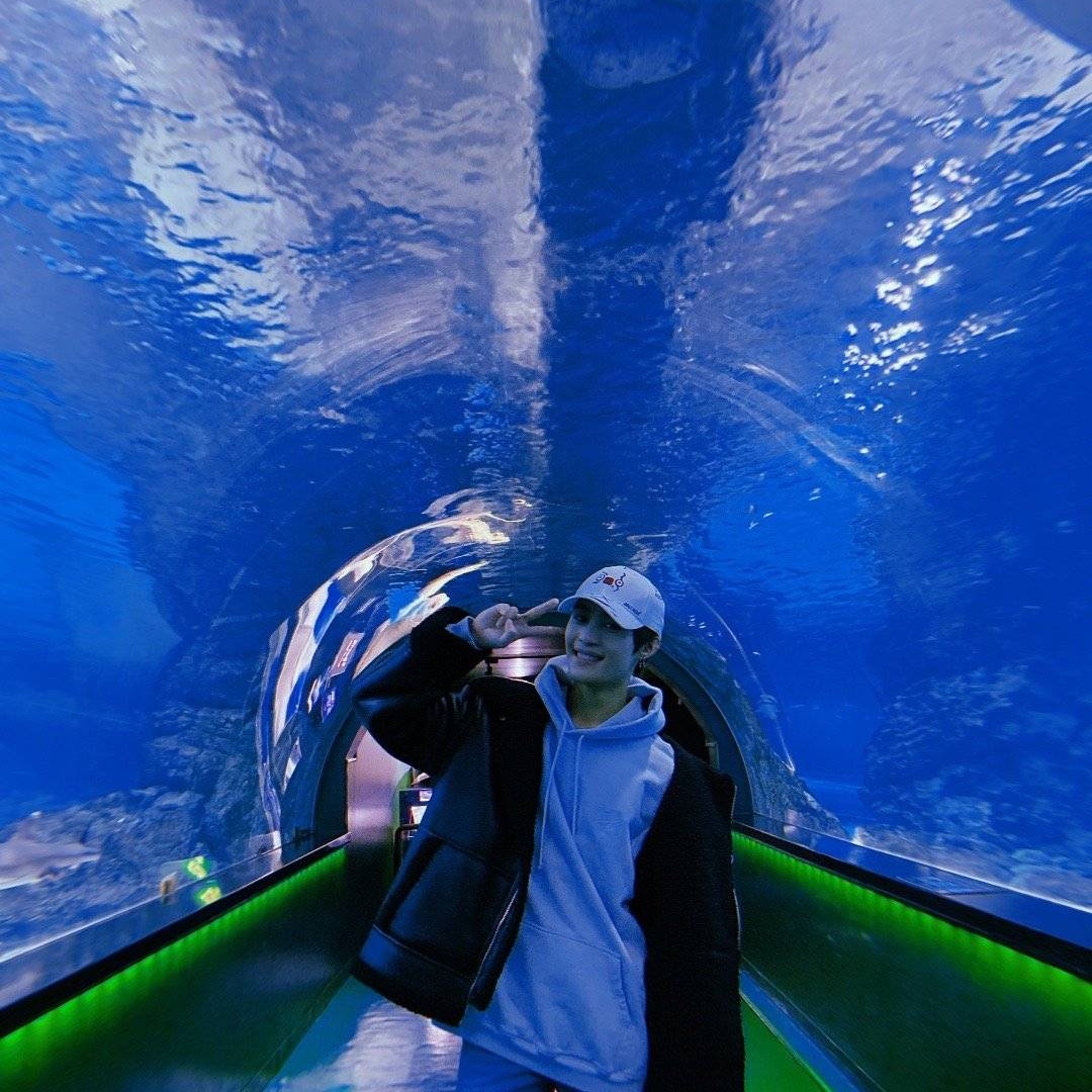 Yangyang and Pompompurin ㅡ A thread.