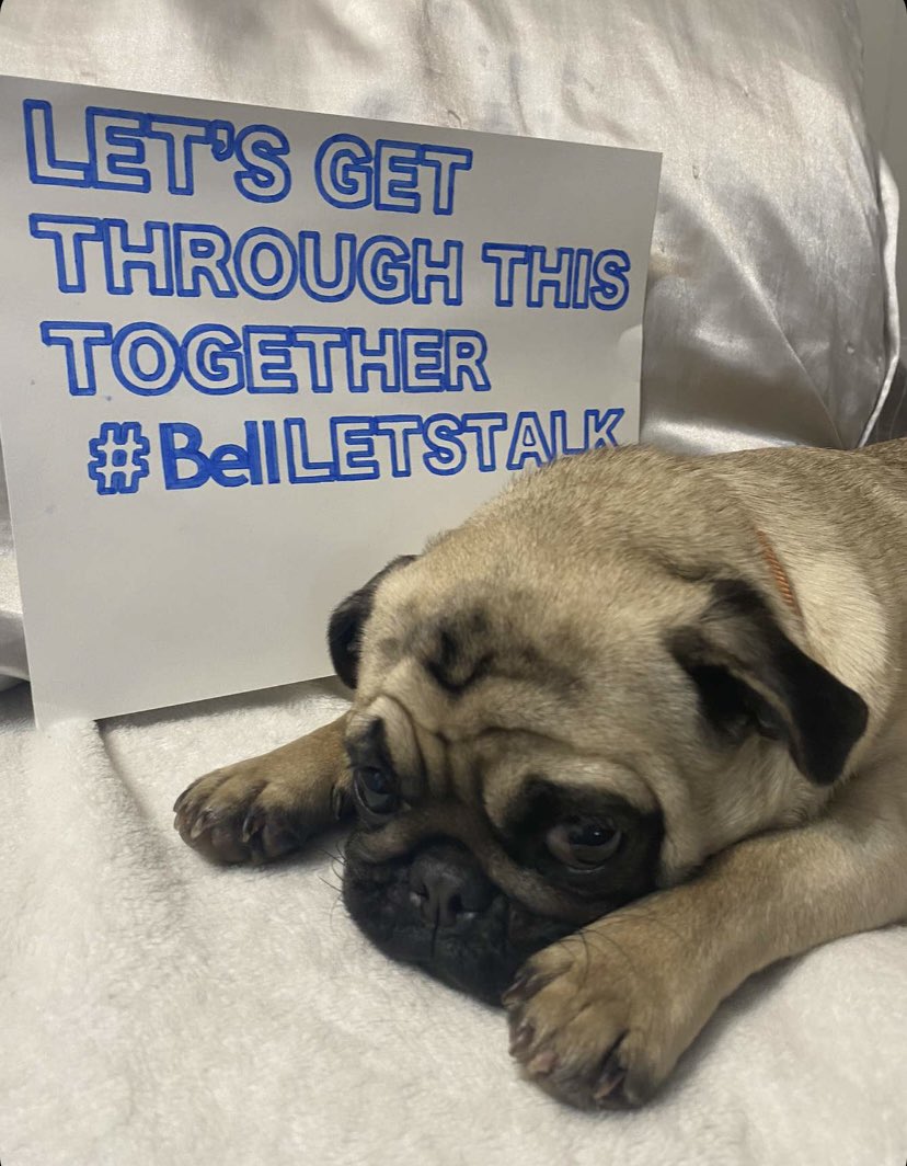 Our sweet Olli, who serves has an emotional support animal for a member of our team has a very important #BellLetsTalk message for you all💙💙