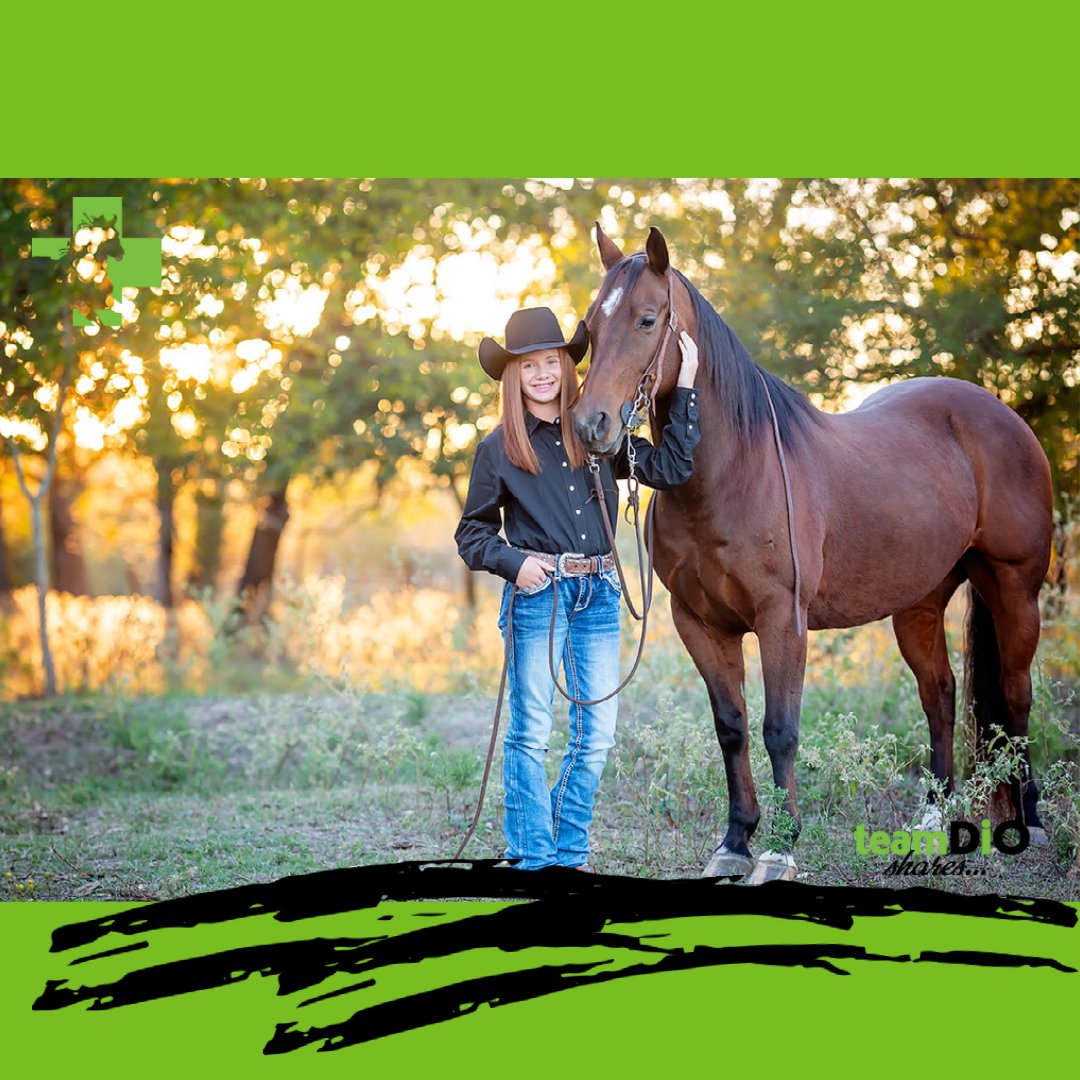 Draw It Out Horse Health Care Solutions tweet media