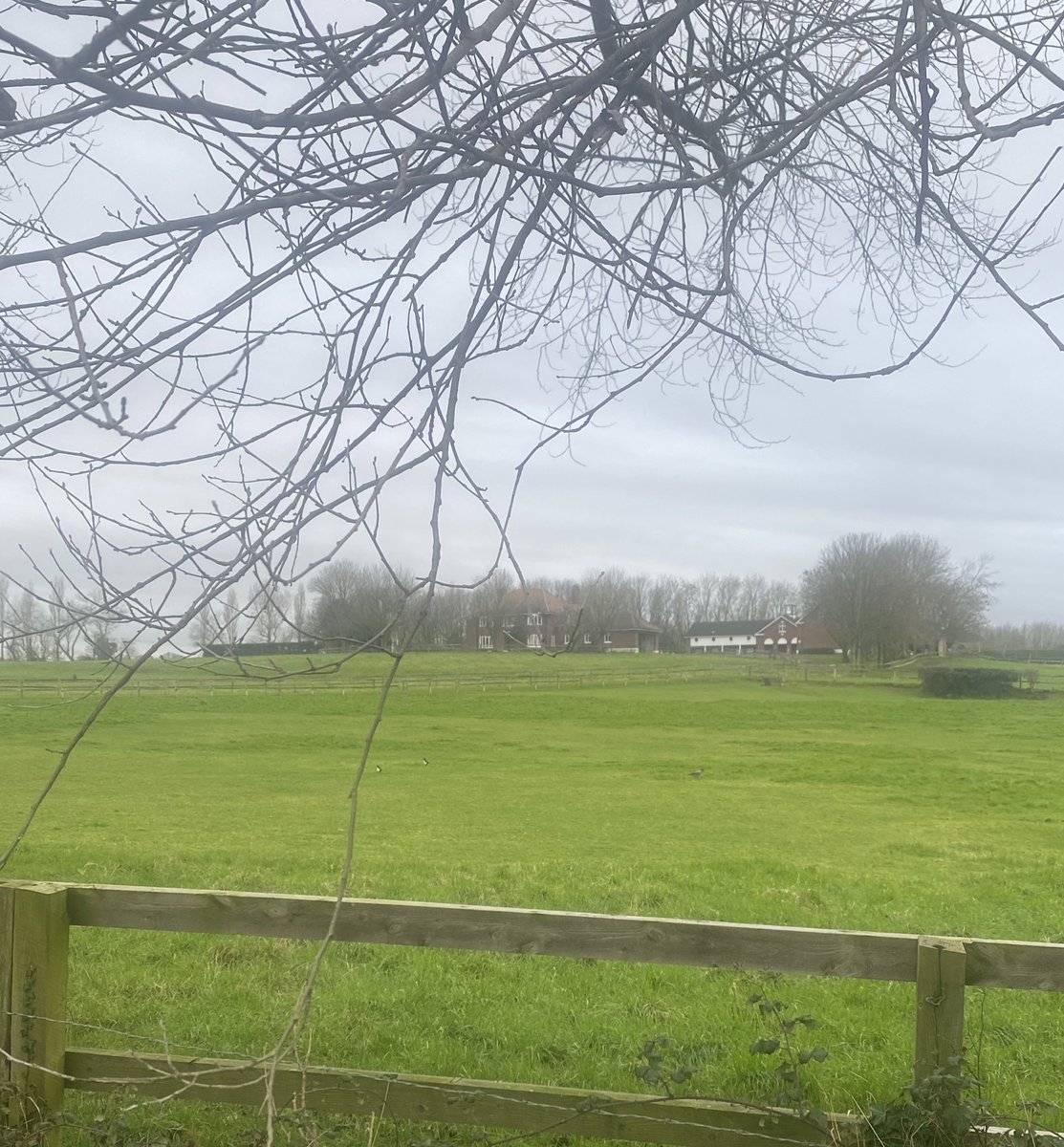 Day 28/100 No 🐎🐎🐎 out today 
#100daysofwalking