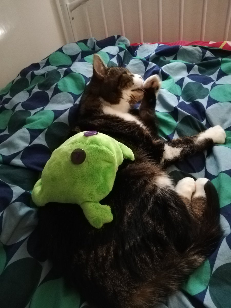 BananaSewing's tweet photo. I made a forg https://t.co/42MXybmDkr