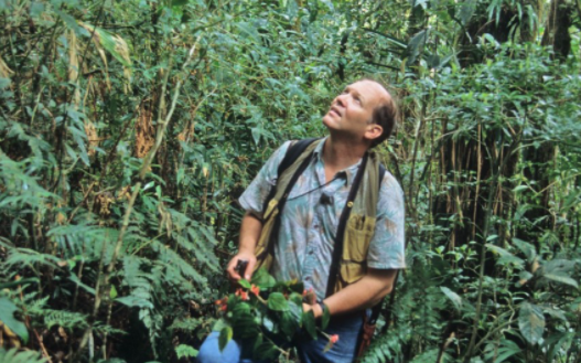 NYBG's tweet photo. Brazil's Atlantic Coastal Forest is a biodiversity hotspot, yet deforestation threatens its existence. This Friday, hear from Dr. Wayt Thomas as he provides a fascinating perspective on collaborative efforts to advance the preservation of this region. https://t.co/BcMw3JYpnR https://t.co/23m2GecxDY