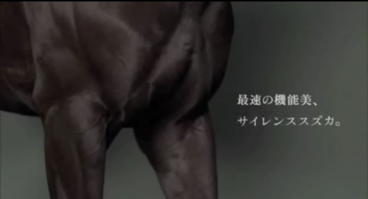 シガール On Twitter Wakutaro 勝利より たった３度の敗北を語りたくなる馬 永遠なる皇帝シンボリルドルフ あの頃のcm良かったですよね 色々な名馬でまた作ってほしい Twitter